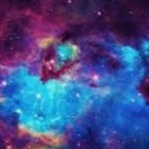 Meet your Posher, Zakia